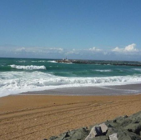 Le Cocon D'Aguilera A 200M Du Stade Et 2Km De La Plage Anglet Exteriör bild
